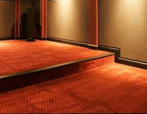 Cinemashop EZRiser Home Theater Riser