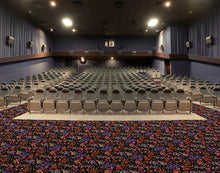 Load image into Gallery viewer, &quot;French Quarter&quot; Theme Theater Carpet